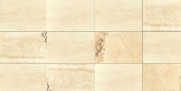 MONVISO_FOSSIL_60x90.jpg